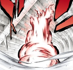 Shakkahō Bleach Wiki Fandom