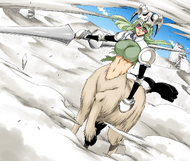 Nelliel Tu Odelschwanck, Bleach Wiki