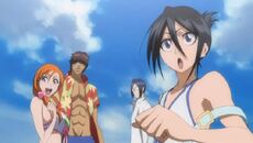 Orihime, Ishida, Sado y Rukia en la playa