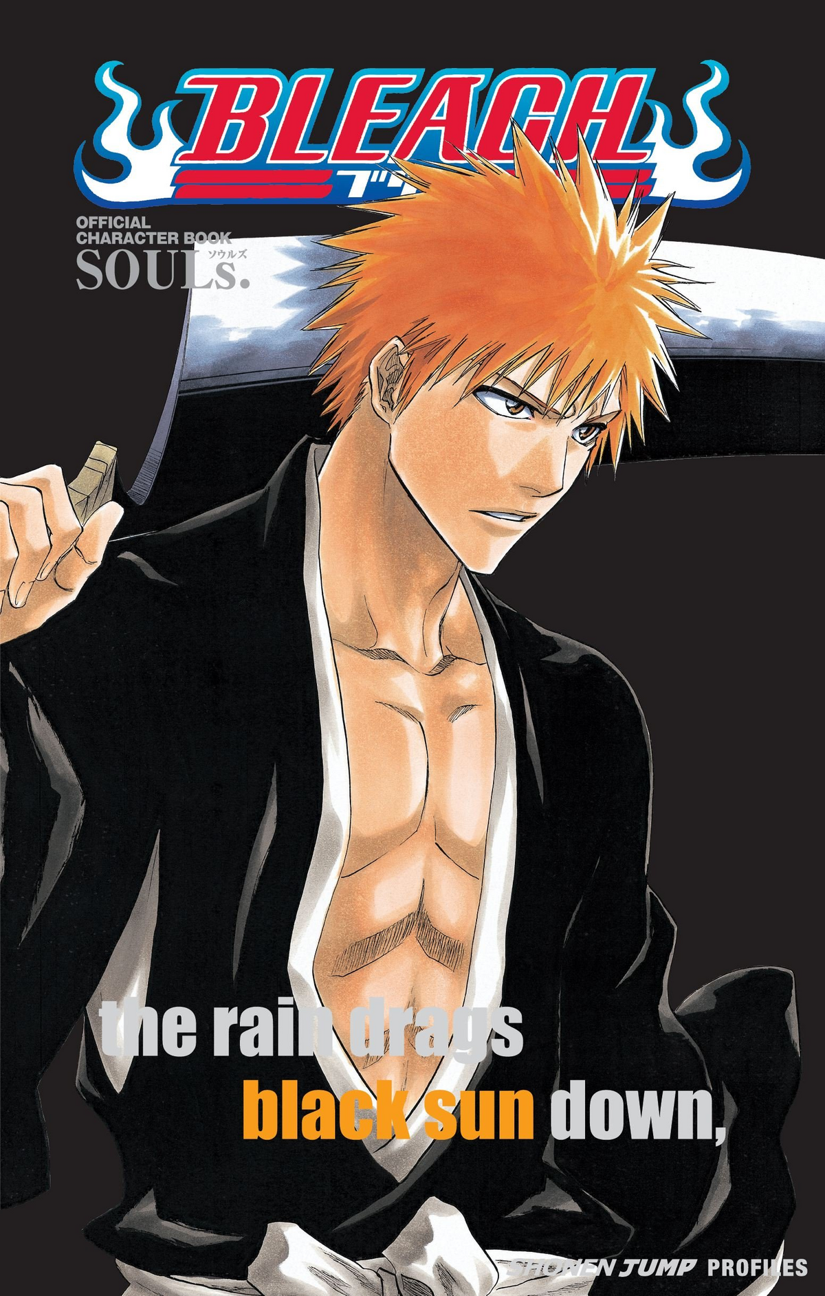 Bleach: Official Character Book SOULs | Bleach Wiki | Fandom