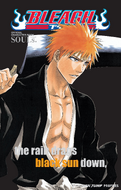 Ichigo on the cover of Bleach: Official Character Book SOULs.