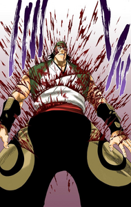 bleach 3rd phantom bankai training guide 116Ganju is slashed