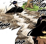 Suì-Fēng frees herself from Yoruichi's grasp.