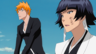 Suì-Fēng explains to Ichigo how they are fighting for survival.