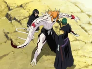 Ep339 IchigosaveRukia