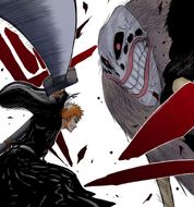 Ichigo slashes through Grand Fisher's side.