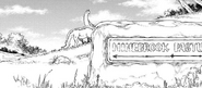 Ninebrook Pastures, which harbors Dragons that produce grapes and other types of food.