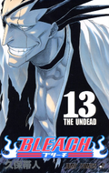 Kenpachi on the cover of Volume 13.