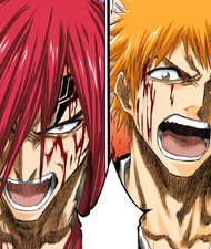 bleach 3rd phantom bankai training guide 143Ichigo and Renji declare