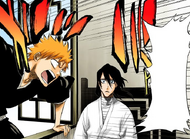 Ichigo interrupts Byakuya's discussion with Renji.