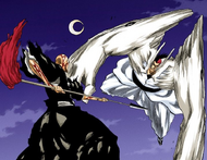 Edrad fights Ikkaku in the air.