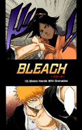 Yoruichi and Ichigo on the cover of Chapter 120.