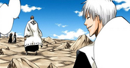 Gin apologizes to Aizen for letting Ichigo intervene.