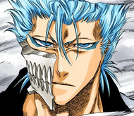 Grimmjow.