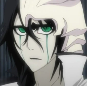 Ulquiorra Cifer Bleach Wiki Fandom We can thank aizen for the arrancars in bleach.