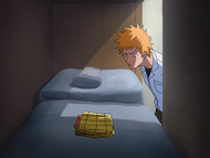 Ichigo discovers Rukia is absent from his closet.