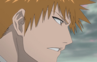 Ichigo says he will find and rescue Rukia.