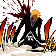 Ichigo is wounded by his final clash.