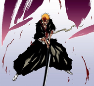 Ichigo is wounded by Hiyori's assault.