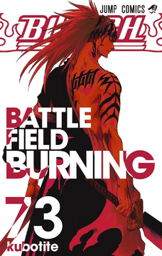 BATTLE FIELD BURNING | Bleach Wiki | Fandom