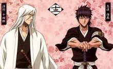 Gotei 13 Bleach Wiki Fandom