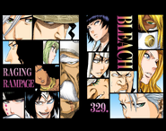 Hitsugaya and the other Fake Karakura Town combatants on the cover of Chapter 329.