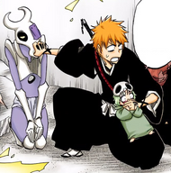 487Ichigo silences