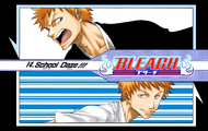 Ichigo and Kon (in Ichigo's body) on the cover of Chapter 14.