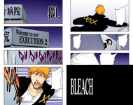 Ichigo and Karin on the cover of Chapter 430.