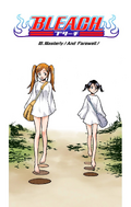 Orihime and Rukia on the cover of Chapter 89.