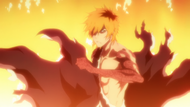 Ichigo is left burnt.