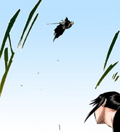 Izuru leaps into the air above Hinamori as he prepares to attack.