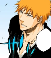Ichigo thanks Isshin for making him feel at home again.
