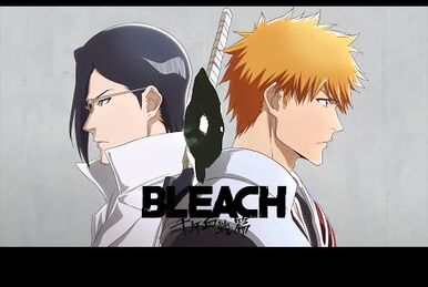 Kotoba ni Sezu Tomo | Bleach Wiki | Fandom Kotoba ni Sezu Tomo | Bleach Wiki | Fandom