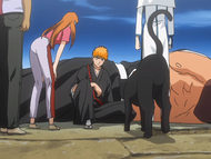 Yoruichi assures Ichigo that the gate closing is not his fault.