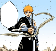 Ichigo demands that Byakuya use his Bankai.