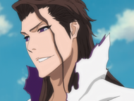 Aizen emerges from his cocoon.