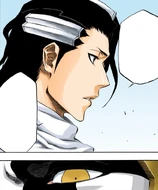 Byakuya muses on Mayuri's response indicating that he believes Ichigo can defeat Aizen.