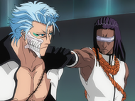 Tōsen confronts Grimmjow over his rudeness.