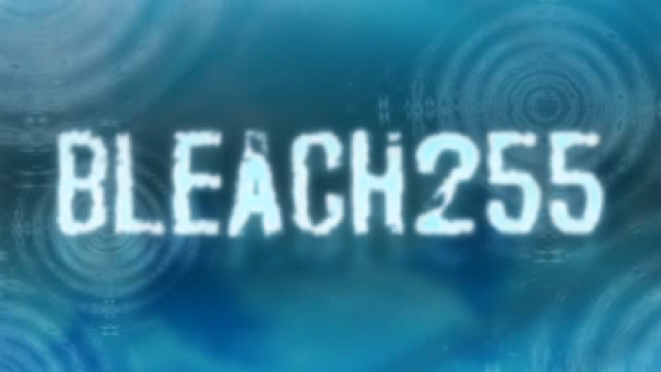 Bleach Final Chapter - Zanpakuto the Alternate Tale (TV Episode