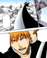 Ichigo manages to block Kamishini no Yari with Tensa Zangetsu.