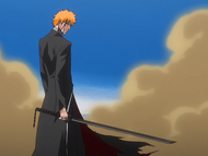 Ichigo reveals his Bankai, Tensa Zangetsu, to Byakuya.