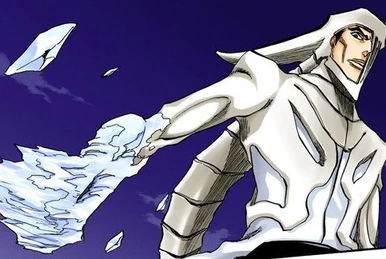 Clash! The Person Who Protects vs. The Person Who Suffers | Bleach