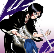 Rukia is impaled on Nejibana.