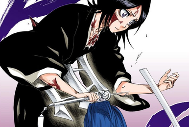 The Revenging Assassin, Ichigo is Targeted | Bleach Wiki The Revenging Assassin, Ichigo is Targeted | Bleach Wiki
