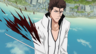SÅsuke Aizen Bleach Wiki Fandom The aizen you knew never existed. sÅsuke aizen bleach wiki fandom