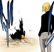 Ichigo collapses after defeating Zangetsu.