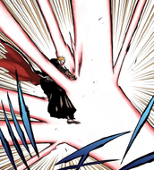 Ichigo blocks Grimmjow's Cero.