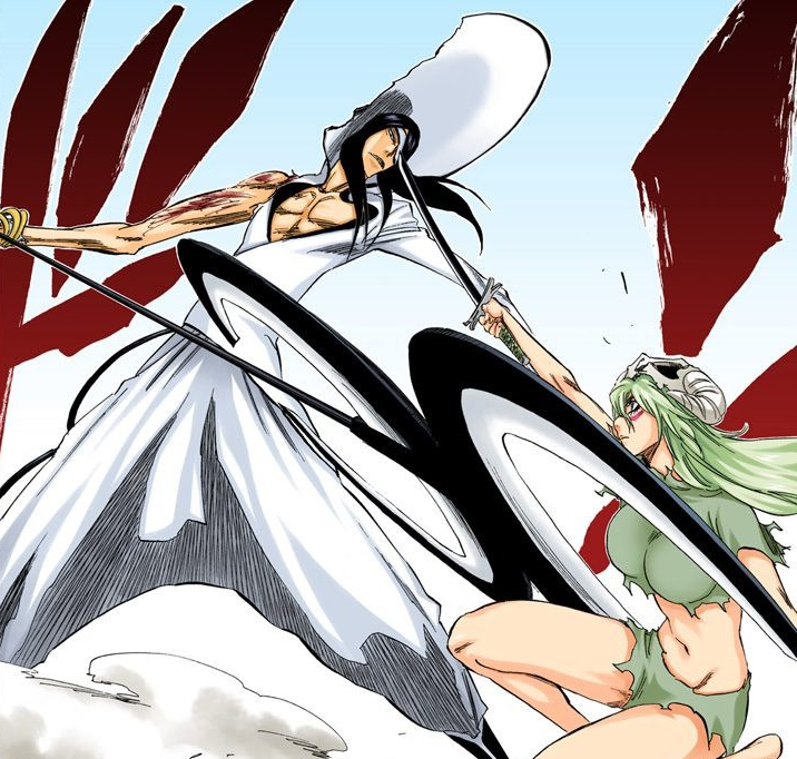 Nelliel Tu Odelschwanck Vs Nnoitra Gilga Bleach Wiki Fandom