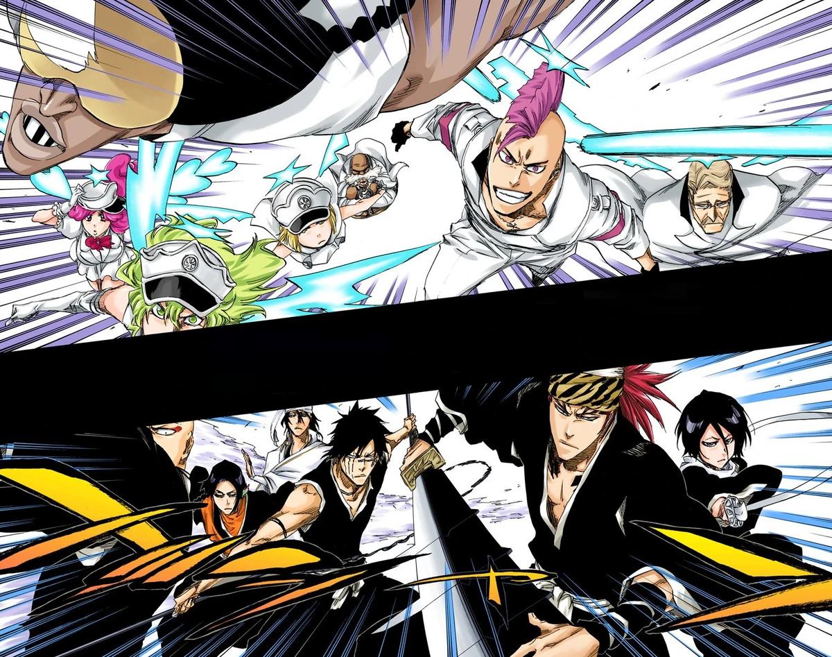 The Gotei 13 vs. The Sternritter Bleach Wiki Fandom